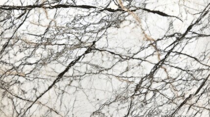 White Marble Slab with Intricate Black Veining
