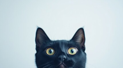 Obraz premium Portrait of a startled black cat with wide open eyes against a white studio background Concept of surprise and unexpected news with space for additional text