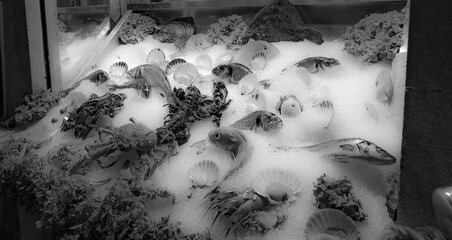 Fish Market in Venice