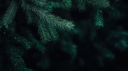 Raw dumplings arranged on a wooden table dusted with flour