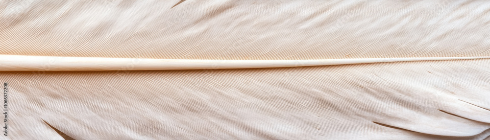 Poster a close-up of a delicate feather showcasing its intricate texture and soft, muted colors against a l