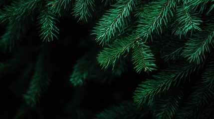 Raw dumplings arranged on a wooden table dusted with flour