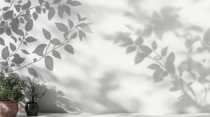 Overlay effect featuring a gray shadow of wild rose leaves and berries on a white wall Abstract neutral natural theme with a blurred background Text space available