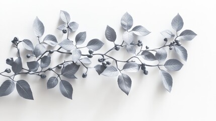Overlay effect featuring a gray shadow of wild rose leaves and berries on a white wall Abstract neutral natural theme with a blurred background Text space available