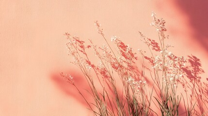 Obraz premium Shadow of grass and flowers on a blush pink concrete wall Abstract nature inspired background with space for text overlay or poster mockup