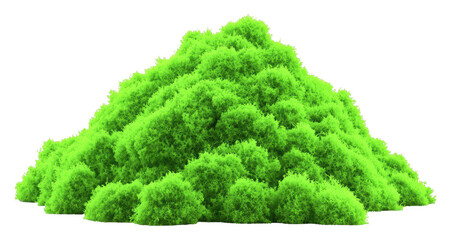 Explore the vibrant green landscape of lush mossy mounds and enhance your nature imagery transparent background