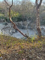 volcanic hot springs