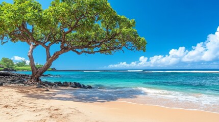 A serene beach scene with a tree, clear water, and blue skies, perfect for relaxation and nature appreciation.