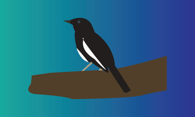Vector illustration of a magpie. 