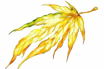 Detailed Golden Maple Leaf on White Background