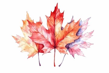 Vibrant Maple Leaves in Various Fall Colors