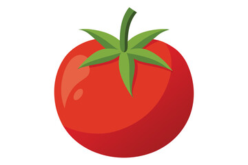 3d tomato vector illustration on a white background