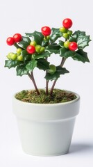 Vibrant, decorative holly plant in a white pot, featuring green leaves and red berries. Perfect for festive and seasonal decor inspiration.