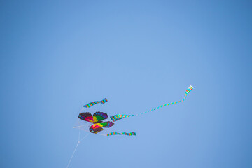 The dance of a butterfly kite across the blue sky. Kite flying is a traditional Korean folk game...