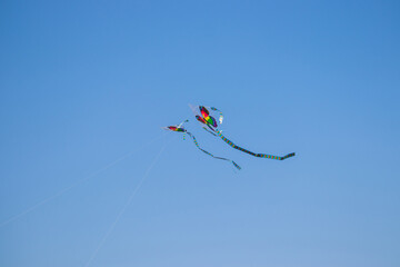 The dance of a butterfly kites across the blue sky. Kite flying is a traditional Korean folk game enjoyed from Lunar New Year to Daeboreum, symbolizing sending away misfortune and welcoming fortune.