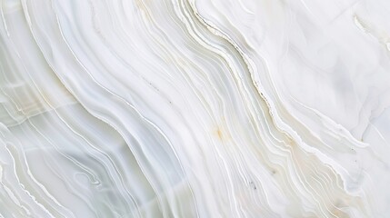 Obraz premium Abstract Wide White Natural Pattern - a captivating and modern visual. The wide natural pattern creates a clean and elegant scene.