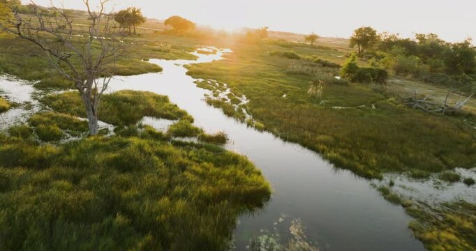 Aerial fly over view of the beautiful waterways and lagoons of the Okavango Delta at sunset