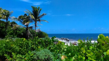 View of the sea and vegetation of Tulum on a sunny day