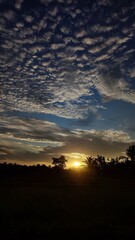 sunset over the trees