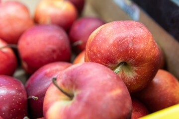 diet agriculture fruit green organic apple fresh food produce raw healthy red market