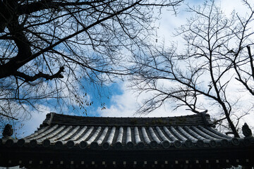 瓦屋根　日本の武家屋敷の門