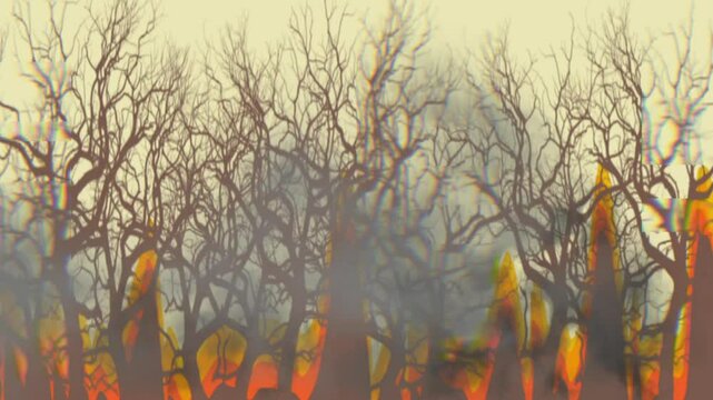 Global warming, forest fires, it is important to preserve nature