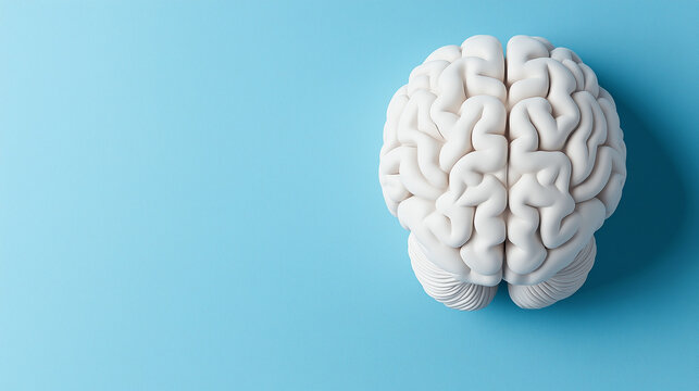 Overhead composition of white brain on blue background with copy space