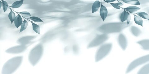 Fototapeta premium Abstract Silhouette of Leaves on White Background