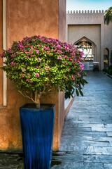 Fototapeta premium Vibrant potted plant by traditional entrance