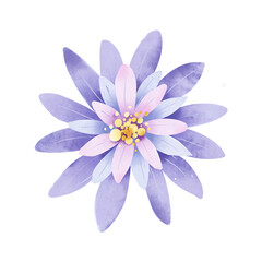 Violet single flower, watercolour botanical illustration, decoration for poster, greeting card, birthday, wedding design. Isolated on white background. Hand drawing.