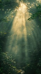 Obraz premium Sunbeams Illuminating a Misty Forest Path