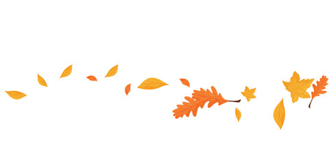 Wave of falling leaves. Leaf fall. Autumn falling leaves on a transparent background.