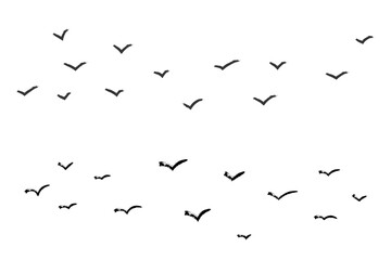 Dynamic group of grunge birds flying. Ink grunge flock of birds drawn with markers and crayons set