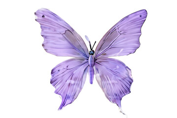 Obraz premium Light purple butterfly