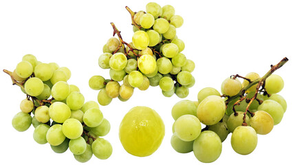 シャインマスカットの切り抜き素材／PNG／샤인 무스카트 자르기 소재／Shine muscat cutout material