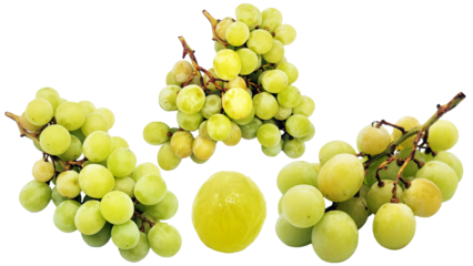 シャインマスカットの切り抜き素材／PNG／샤인 무스카트 자르기 소재／Shine muscat cutout material