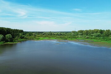 Egrets and Herons by Tranquil Lake