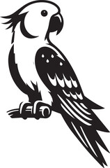 beautiful simple parrot vector 