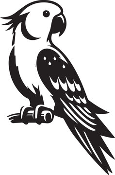 beautiful simple parrot vector 