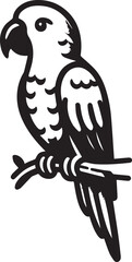 beautiful simple parrot vector 
