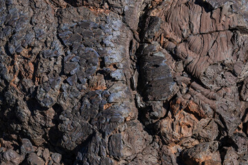 Blue Dragon Lava Flow. North Crater Pahoehoe Flow. North Crater Flow Trail / Craters of the Moon National Monument & Preserve. Volcanic Field. Idaho's eastern Snake River Plain.