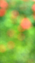 Abstract blurred green nature background. blurry backdrop for design.