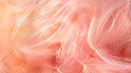 Delicate pink wispy dandelion seeds create an abstract swirl, capturing the ethereal beauty of nature in this artistic image. Ideal for projects requiring a dreamy aesthetic and ample copy space.