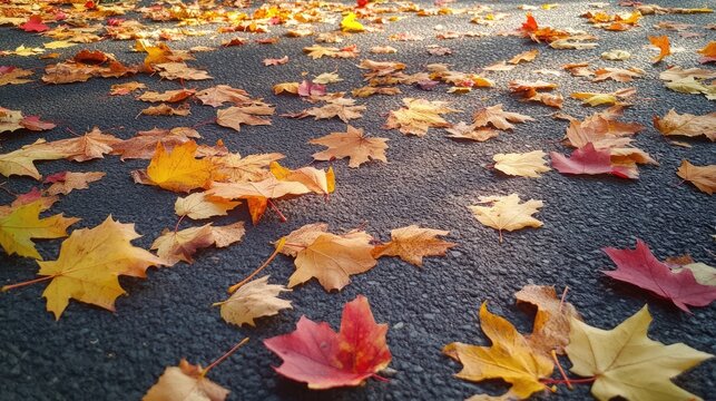 Fallen leaves create a picturesque scene on the asphalt road, transforming the path into a canvas of autumn visual poetry, inviting reflection and tranquility in natures embrace.