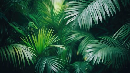 Tropical palm leaves create a lush forest scene, perfect for wallpaper design with grey and green tones. This tropical palm leaf wallpaper offers stylish, natural beauty and ample copy space.