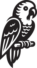 beautiful simple parrot vector 
