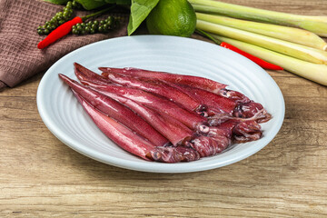 Raw fresh squids for cooking