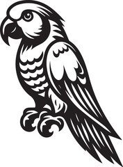 beautiful simple parrot vector 