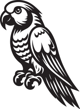 beautiful simple parrot vector 