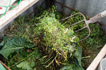 Gardening Fork Lifting Compost in a Backyard Garden